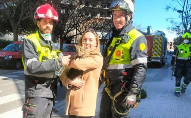 VIDEO: Rescatan a Coco; gato sobrevive a incendio en edificio de Valencia