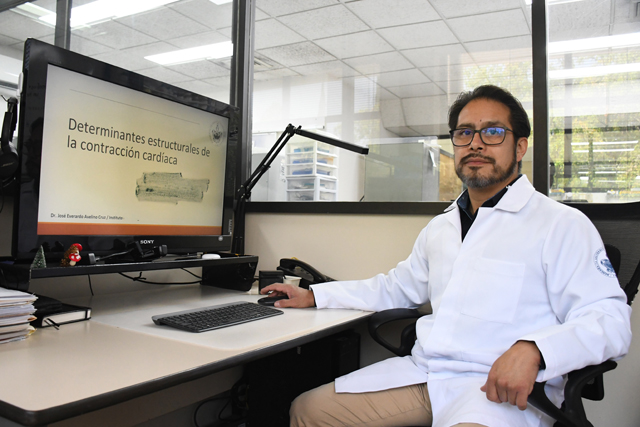 Instituto de Fisiología BUAP estudia relación estructura-función en las células cardiacas