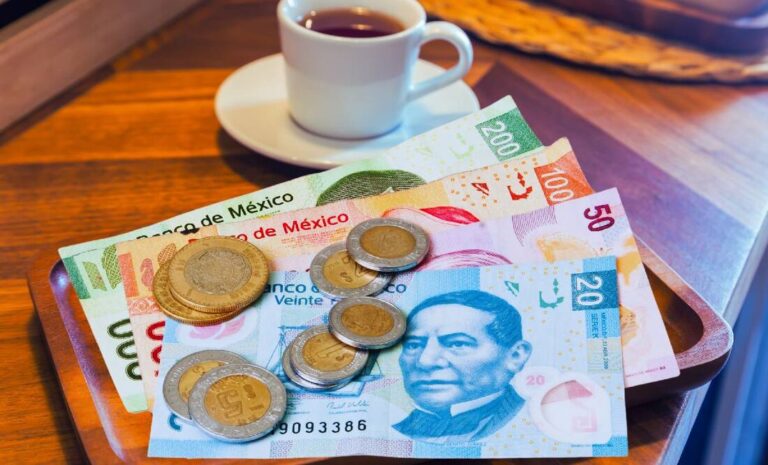 Cámara de Diputados aprueba reforma para prohibir sustitución de salario con propinas