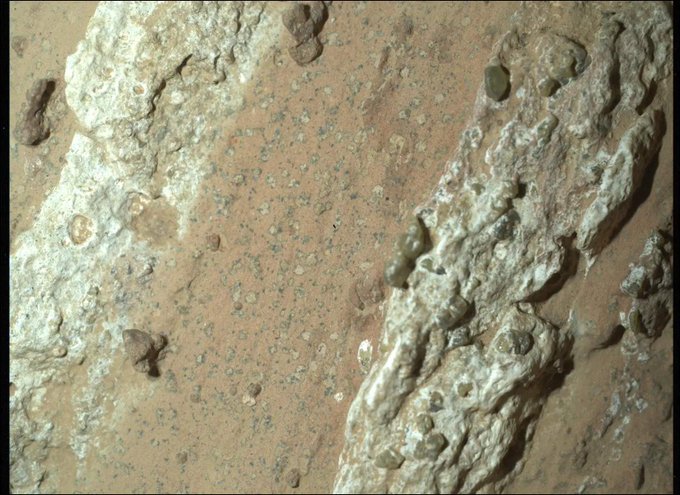 Localiza rover Perseverance indicios de antigua vida microbiana en Marte