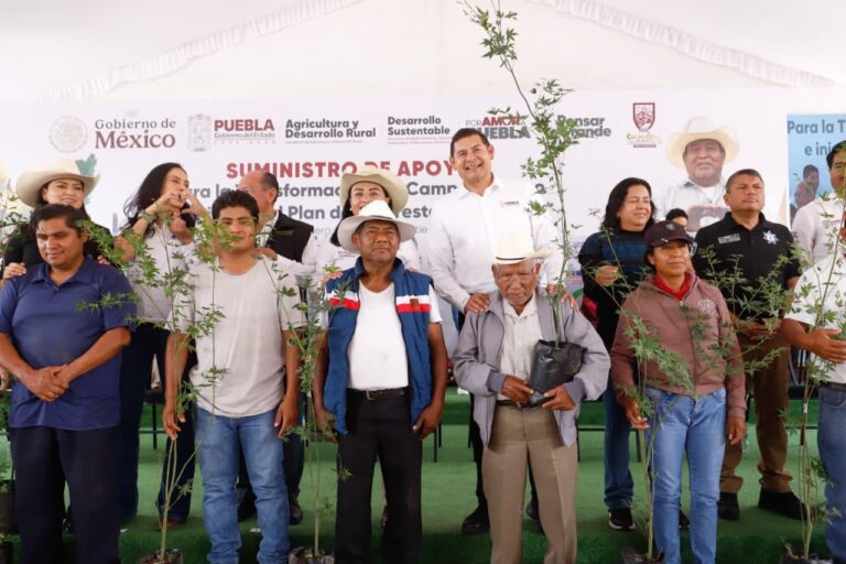 En Cuapiaxtla, gobierno de Puebla inicia plan de reforestación 2025
