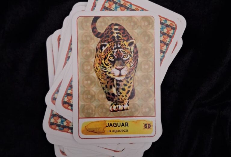 Los Animales de la Cruz del Sur: un oráculo para conectar con el Espíritu y empatizar con la Madre Tierra.