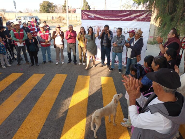 Trabajo mata grilla en San Pedro Cholula
